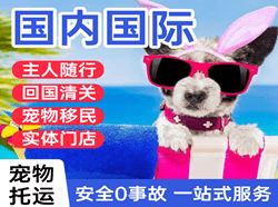 宁波机场托运国际宠物托运 【国